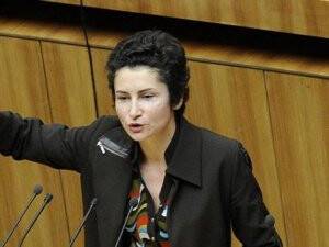 Yeşiller Partisi Milletvekili Alev Korun: “Kanunun Olumsuz Yönleri Daha Ağır Basıyor”