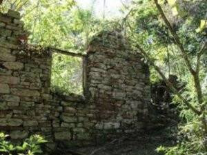 Arjantin’de Nazi Sığınağı Bulundu