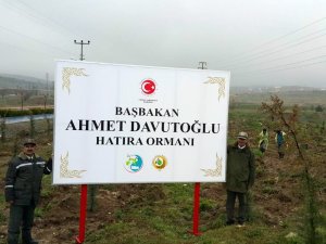 Konya’da Başbakan Ahmet Davutoğlu Hatıra Ormanı Oluşturuldu