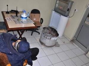 Bekçi zehirlendi!
