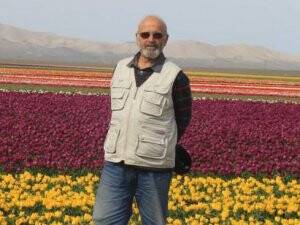 Ahmet Polat lale tarlasında