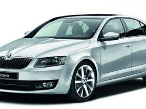 “Konyalı Skoda'yı sevdi”