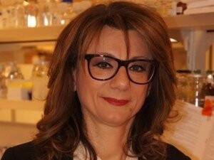 Kök Hücreyle Körlük Tedavisi Türkiye'de De Uygulanacak