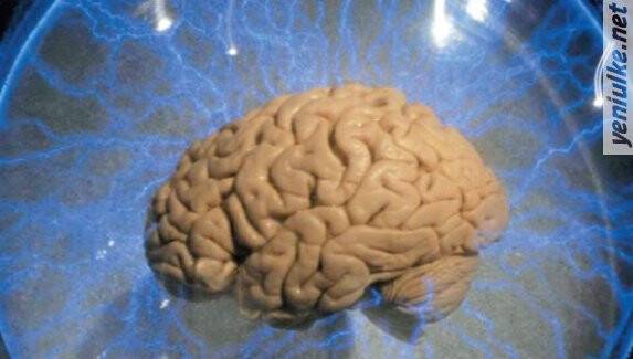 Google insan beynini yedekleyecek!