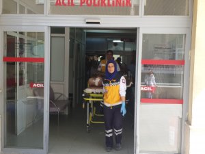Konya'da hayvan otlatma kavgası: 7 yaralı