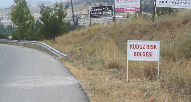 Hatay'da kuduz can aldı
