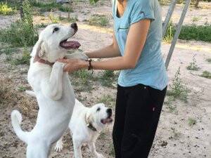 Mimar Fatma Nur Bacak’ın hayvan sevgisi