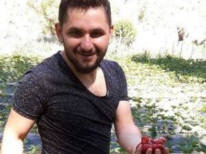 Ali Toka organik çilek hasadında