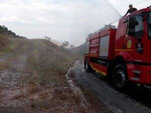 Arılara itfaiye müdahale etti