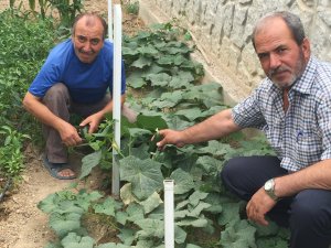 Eğitimci Mehmet Sergi ile iş adamı Faruk Yurdakul’un özel hobisi