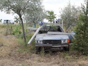 Otomobil ormana girdi!