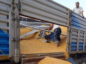 55 bin paket kaçak sigara ele geçirildi