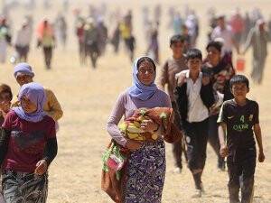 Terör 40 Bin Yezidi'yi Göç Ettirdi