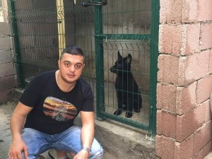 Mustafa Canfeda’nın hayvan sevgisi