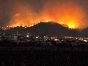 Hatay'daki Orman Yangını