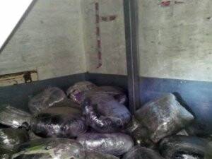 Konya'da 308 kilogram esrar ele geçirildi