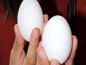Yumurta Satışına Yeni Düzenleme