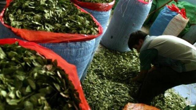 İtalya'da Yıllarca "Kokainli Çay" Satıldığı Ortaya Çıktı