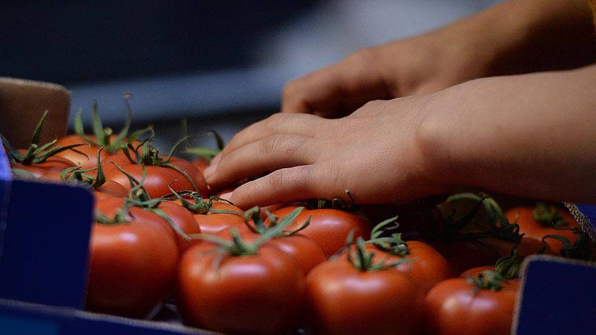 Rusya yaptırımları "esnetiyor"