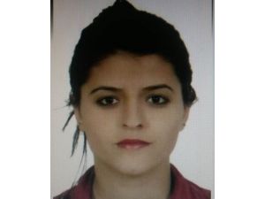 Diyarbakır'da bir terörist yakalandı
