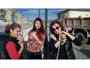 Hayvanseverler Avanos'taki hayvan barınağını ziyaret etti