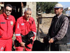 Muğla'da keçi kurtarma operasyonu