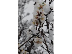 Beypazarı'nda kar yağışı