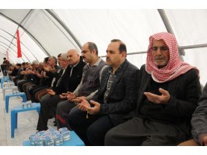 Mardin'de şehitler için taziye çadırı kuruldu