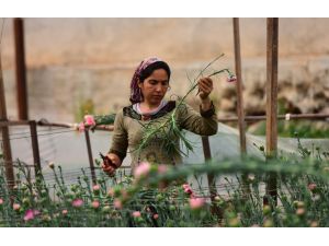 Kadın işçileri hayallerine çiçekler ulaştıracak