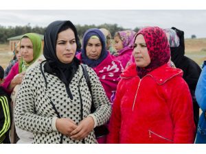 Fas'ta mirastan hak alamayan "kabile kadınları"