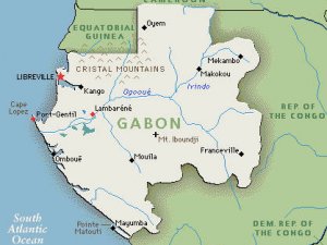 Gabon'da iktidar partisinden ihraç