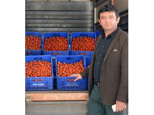 "Antalya'nın batısında tarım sektörü tehlikeye giriyor"
