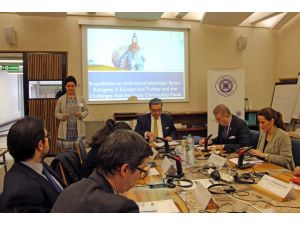 UNESCO'da "Suriyeli mülteciler" Yuvarlak Masa Toplantısı