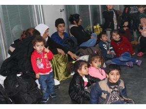 Kaçak Iraklılar sınır dışı edildi