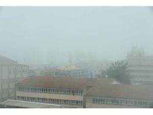 Samsun'da sis etkili oldu