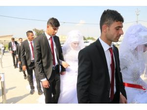 Türkiye Diyanet Vakfından Iraklı göçmenlere toplu düğün