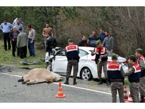 Kastamonu'da iki otomobil çarpıştı: 1 ölü, 2 yaralı