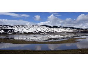 Ardahan'da Göle Ovası'nı su bastı