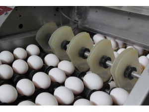 Yumurta iç piyasada kaldı, fiyatı düştü