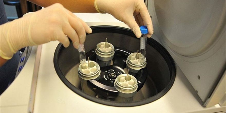 Kapatılan Tüp Bebek Merkezindeki Embriyolar Nakledildi