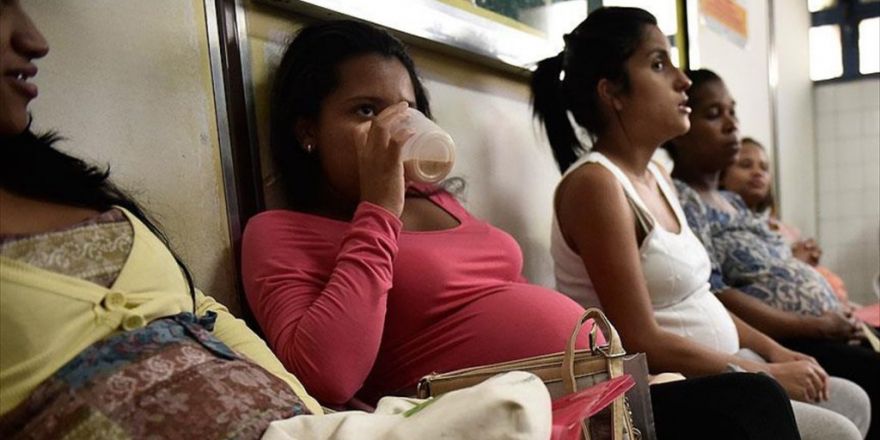 Singapur'da Hamilelere Zika Uyarısı