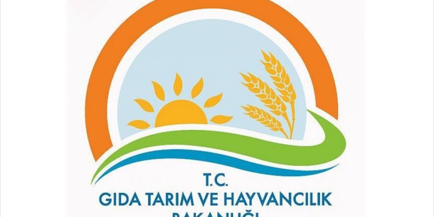 Taklit Ve Tağşiş Yapan 229 Firma Açıklandı