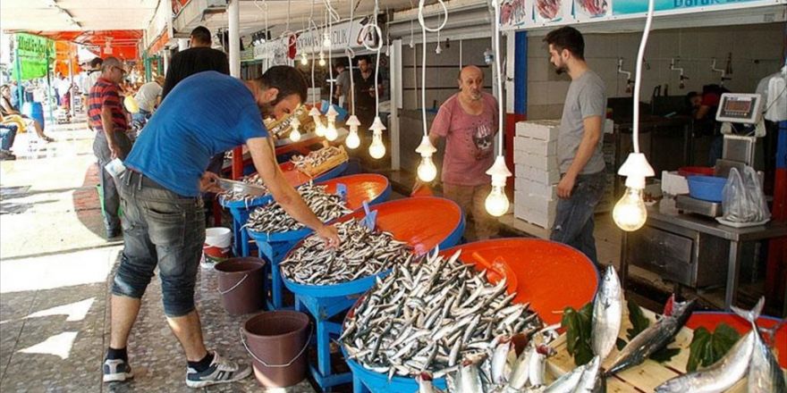 Balıkçılar 'Vira Bismillah' Dedi Tezgahlar Şenlendi