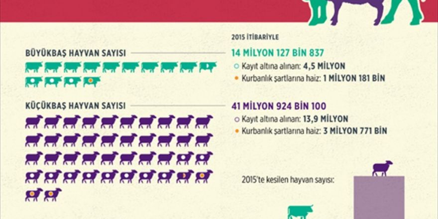 Türkiye Bayrama 5 Milyon Kurbanlık İle Hazır