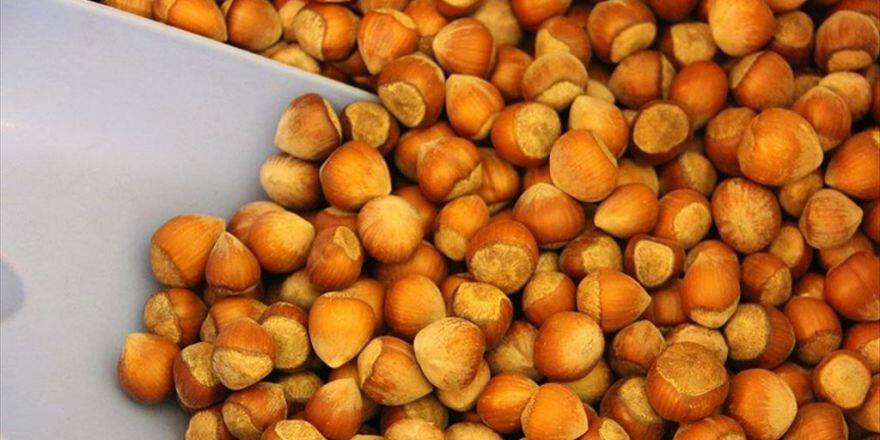 1 Kilogram Fındığa Maç Bileti