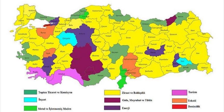 Türkiye'nin Sektörel Kredi Haritası