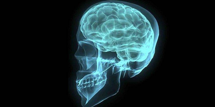 Orta Yaş Kadınların Hafızası Erkeklerden Daha Güçlü