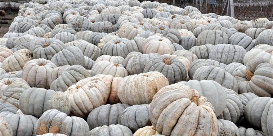 Üreticisine 'Bal' Değil 'Kabak' Tadı Verdi