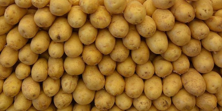 Patates Sektör Temsilcilerini Sevindirdi