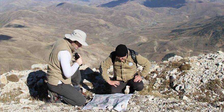 Kop Dağları Milli Park İlan Edildi